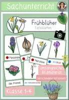 Vorschau - Poster - Frühblüher Tafelmaterial - Wort- und Bildkarten - Deckblatt
