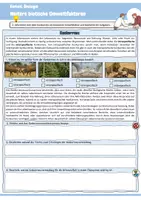 Vorschau - Arbeitsblätter - Weitere biotische Umweltfaktoren (Räuber-Beute-Beziehungen / Konkurrenz / Symbiose / Parasitismus / Ökologie / Biologie) - Seite 2