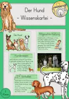 Vorschau - Stationenlernen - Hund Wissenskartei - Deckblatt