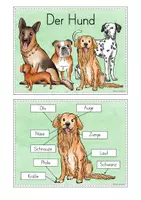 Vorschau - Stationenlernen - Hund Wissenskartei - Seite 2