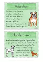 Vorschau - Stationenlernen - Hund Wissenskartei - Seite 3