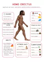 anteprima - Didattica a stazioni - 📘 HOMO ERECTUS – Mappa concettuale - Pagina di copertina