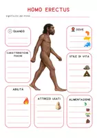 anteprima - Didattica a stazioni - 📘 HOMO ERECTUS – Mappa concettuale - Pagina 1