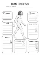 anteprima - Didattica a stazioni - 📘 HOMO ERECTUS – Mappa concettuale - Pagina 3
