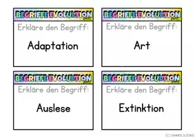 Vorschau - Arbeitsblätter - Evolution Glossar Lernkarten – Fachbegriffe Biologie differenziert - Seite 1