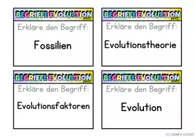 Vorschau - Arbeitsblätter - Evolution Glossar Lernkarten – Fachbegriffe Biologie differenziert - Seite 3