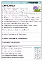 Vorschau - Arbeitsblätter - Lesen & Verstehen - Frühblüher (Klasse 1-2) - Seite 3