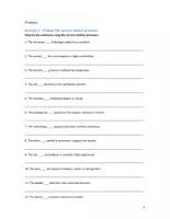 Vorschau - Arbeitsblätter - Focus on Grammar - Relative Clauses (Defining & Non-defining) - Seite 3