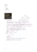 Προεπισκόπηση - Ήχος - ΚΕΙΜΕΝΑ Α1-10 SHORT STORIES IN GREEK A1 - Σελίδα 2
