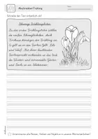Vorschau - Arbeitsblätter - Abschreibtexte Frühling | Lateinische Ausgangsschrift (LA) - Seite 2