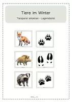Vorschau - Bildkarten - Tierspuren im Winter - Legematerial - Deckblatt