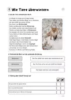 Vorschau - Arbeitsblätter - Materialpaket: Heimische Tiere im Winter - Seite 2