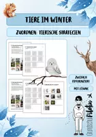 Vorschau - Arbeitsblätter - Heimische Tiere im Winter. AB 3: Tiere und ihre Überwinterungsstrategien - Deckblatt