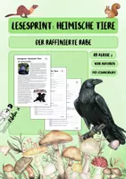 Vorschau - Arbeitsblätter - Wachsendes Materialpaket: Lesesprint - Heimische Wildtiere - Seite 1