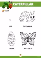anteprima - Esercizi - CATERPILLAR - STORYTIME WHORKSHEETS COLLECTION - Pagina 3