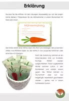 Vorschau - Arbeitsblätter - Möhrentraining - Artikeltraining mit Möhren - Seite 2