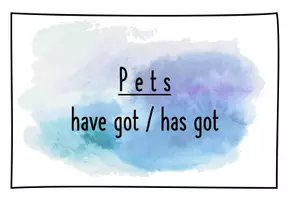 Vorschau - Spiele - Flashcards: Personal pronouns & have got has got (pets) - Seite 1