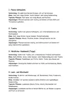 Vorschau - Arbeitsblätter - Flipbook-Vegetationszonen in Europa - Seite 2