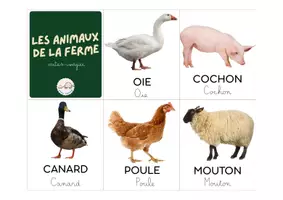 Aperçu - Cartes / Images - Cartes_imagier_animaux_ferme - Page 2