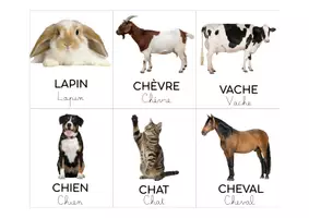 Aperçu - Cartes / Images - Cartes_imagier_animaux_ferme - Page 3