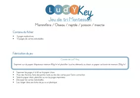 Aperçu - Apprentissages en autonomie - Jeu de tri animaux Montessori – Mammifères Oiseaux Reptiles Poissons Insectes – Classification scientifique PDF - Page 1
