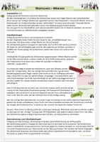 Vorschau - Stundenentwürfe - Märchen - Rechtschreibung und Wortschatz spielerisch üben - Seite 2