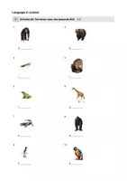 Vorschau - Test - Englisch Schularbeit / Lernzielkontrolle für die 1. Klasse Mittelschule/MORE!1 - Seite 3