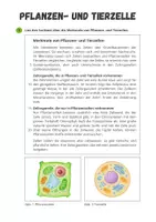 Vorschau - Arbeitsblätter - Zellbiologie ⎮ Pflanzen- und Tierzelle - Aufbau und Funktionen - Seite 1
