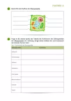 Vorschau - Arbeitsblätter - Zellbiologie ⎮ Pflanzen- und Tierzelle - Aufbau und Funktionen - Seite 2
