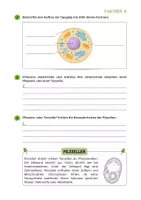 Vorschau - Arbeitsblätter - Zellbiologie ⎮ Pflanzen- und Tierzelle - Aufbau und Funktionen - Seite 3