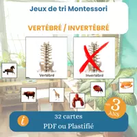 Aperçu - Apprentissages en autonomie - Jeu de tri Montessori vertébré / invertébré – 32 cartes sciences animaux - Page de couverture
