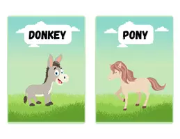anteprima - Flashcard - Animals Flashcards Wild, Farm and Sea - Pagina 3