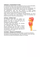 Vorschau - Arbeitsblätter - Unser Gehirn - Aufbau, Lage, Funktionen - Seite 3