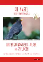 Vorschau - Spiele - DIE AMSEL: Wissen, Bilder & Spiele (Kinder 5-10 J.) - Seite 1
