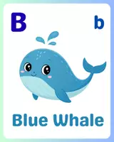 Aperçu - Cartes / Images - Marine Animals Alphabet Flashcards A–Z + Learning Video - Page 2