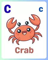 Aperçu - Cartes / Images - Marine Animals Alphabet Flashcards A–Z + Learning Video - Page 3