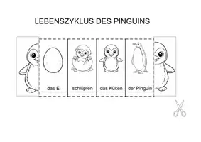 Vorschau - Mal- und Bastelvorlagen - Lebenszyklus Pinguin Vogel Frosch Schmetterling Biene Falthefte - Deckblatt