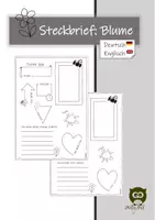 Vorschau - Arbeitsblätter - Steckbrief: Blume/flower - Deckblatt