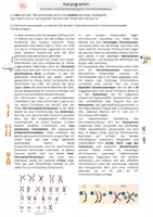 Vorschau - Stundenentwürfe - DS 2 - EF - Genetik - Karyogramm, Chromosomen etc - Deckblatt