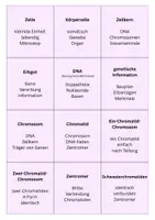 Vorschau - Stundenentwürfe - DS 3 - Mitose - EF - Genetik - Seite 1