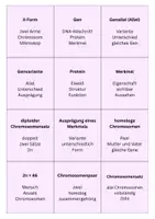 Vorschau - Stundenentwürfe - DS 3 - Mitose - EF - Genetik - Seite 3