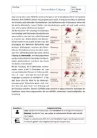 Vorschau - Arbeitsblätter - Genetik: Intermediärer Erbgang (mit Lösung) - Seite 1