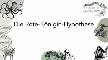Vorschau - Arbeitsblätter - Die Rote-Königin-Hypothese - Deckblatt