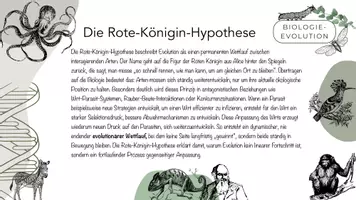 Vorschau - Arbeitsblätter - Die Rote-Königin-Hypothese - Seite 2