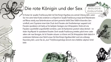 Vorschau - Arbeitsblätter - Die Rote-Königin-Hypothese - Seite 3