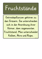 Vorschau - Präsentationen/Tafelbilder - Fruchtstand Getreide - Seite 1