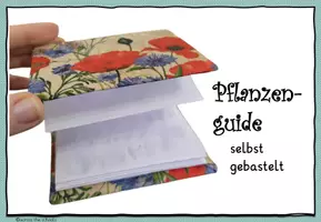 Vorschau - Mal- und Bastelvorlagen - Einen Pflanzen-Guide selbst basteln: Anleitung - Seite 1