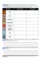 Vorschau - Arbeitsblätter - Welche Baustoffe gibt es? (AB + Lösungen) - Seite 3