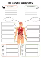 Vorschau - Arbeitsblätter - Sympathikus-Parasympathikus - Deckblatt