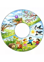 Vorschau - Bildkarten - 3 Legekreise Frühling für Kita & Kindergarten - Seite 3